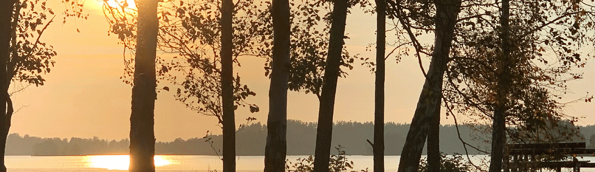 Vy över sjön Bolmen i soldis med träd i förgrunden. Foto.