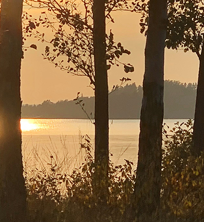 En sjö syns i kvällssol mellan träd. Foto.